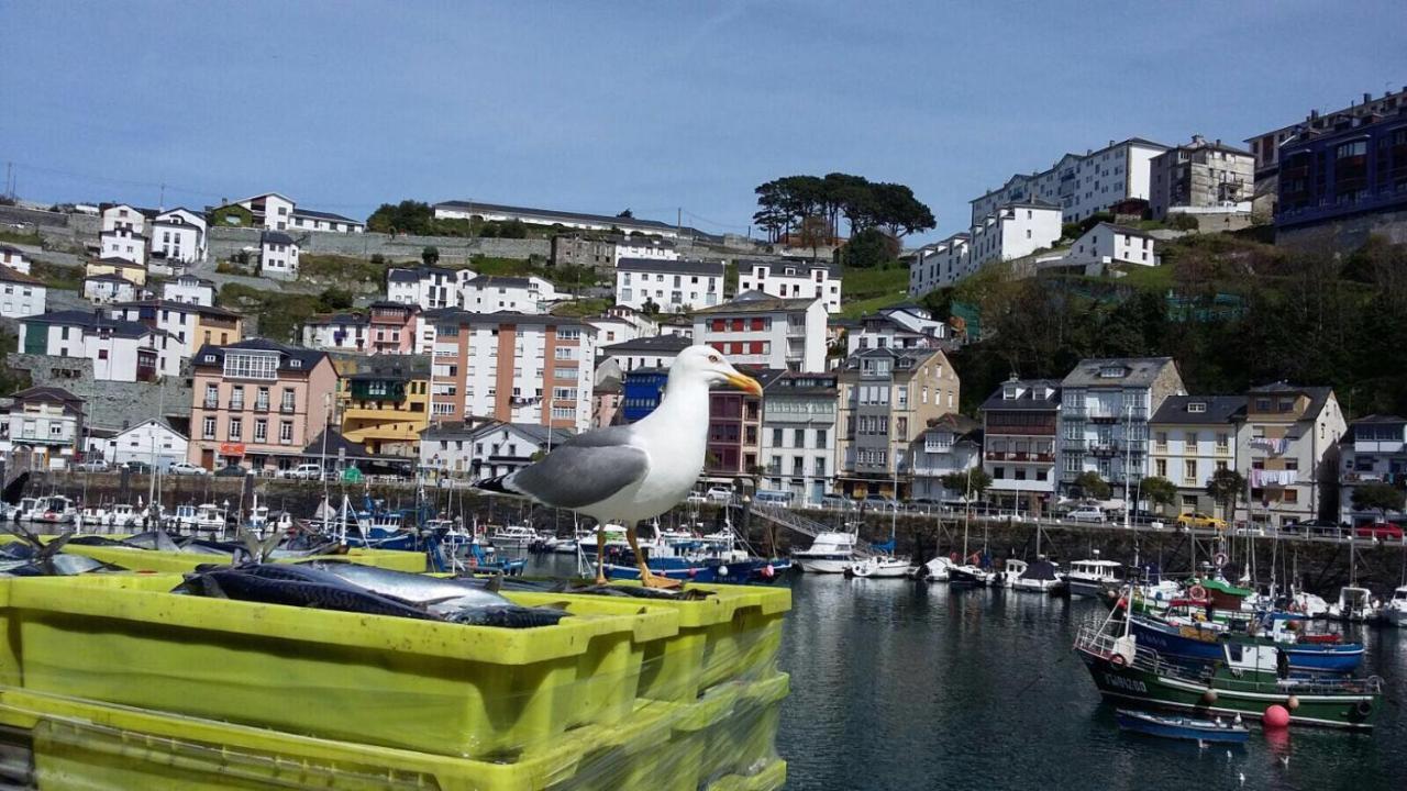 Appartamento El Cambaral Del Puerto Luarca Esterno foto